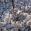 090416th.jpg