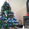 101122_5th.jpg