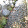 110222_3th.jpg
