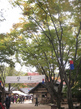 120113_3.jpg