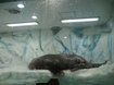 120423_7.jpg