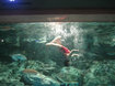 120423_9.jpg