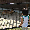 08092706th.jpg