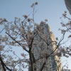 110428_3th.jpg