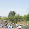 110525_3th.jpg